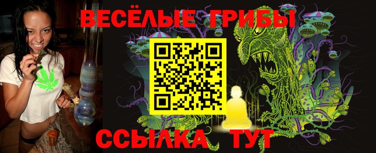 Галлюциногенные грибы Psilocybine cubensis Богородицк